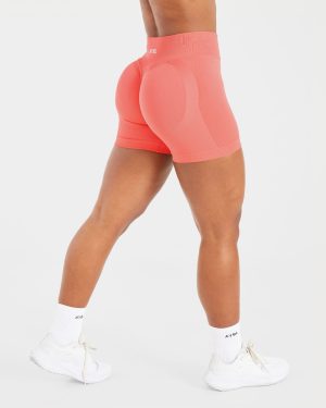 Adapt Seamless Shorts - Summer Peach